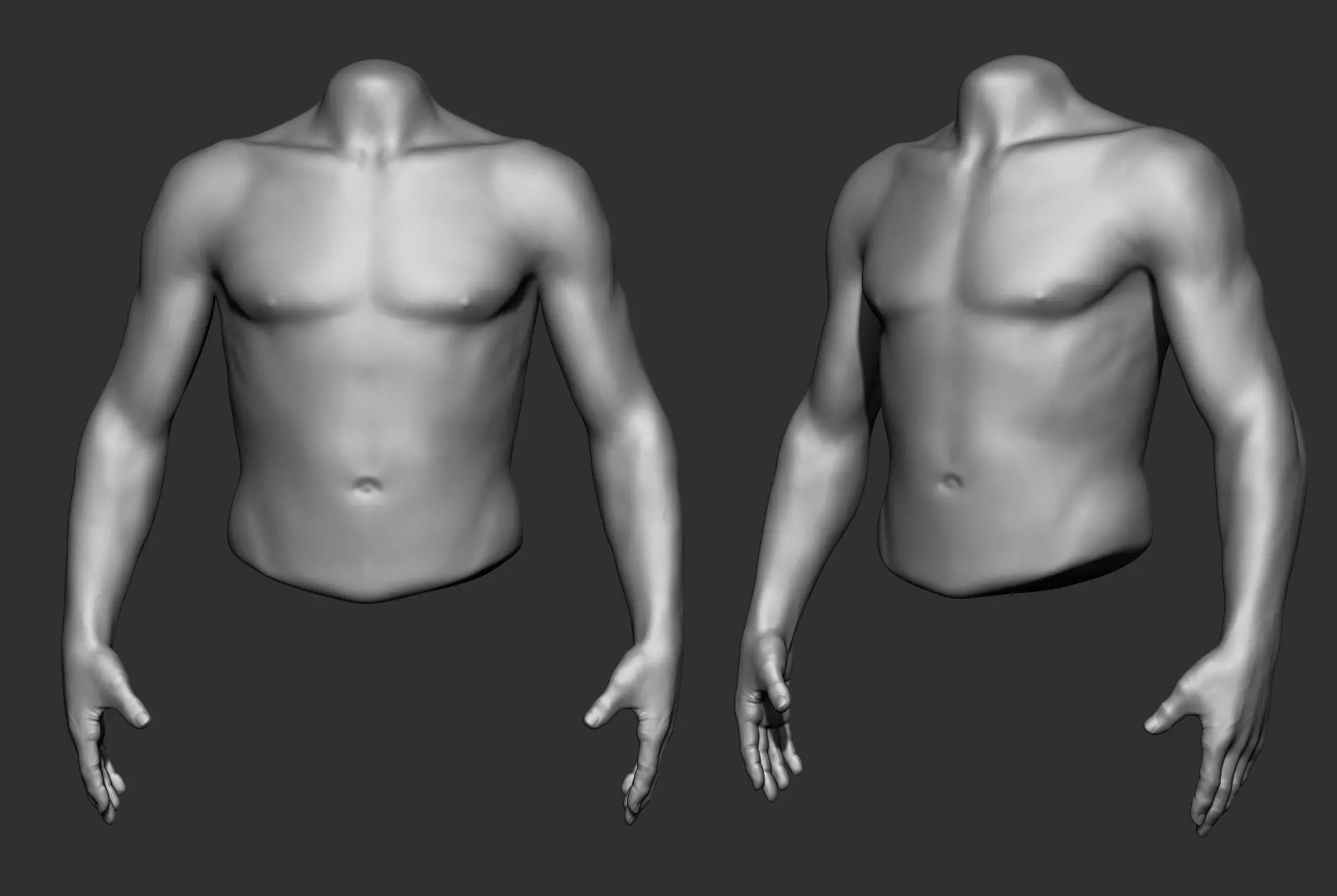 Male Torso Anatomy Study 3D model_24