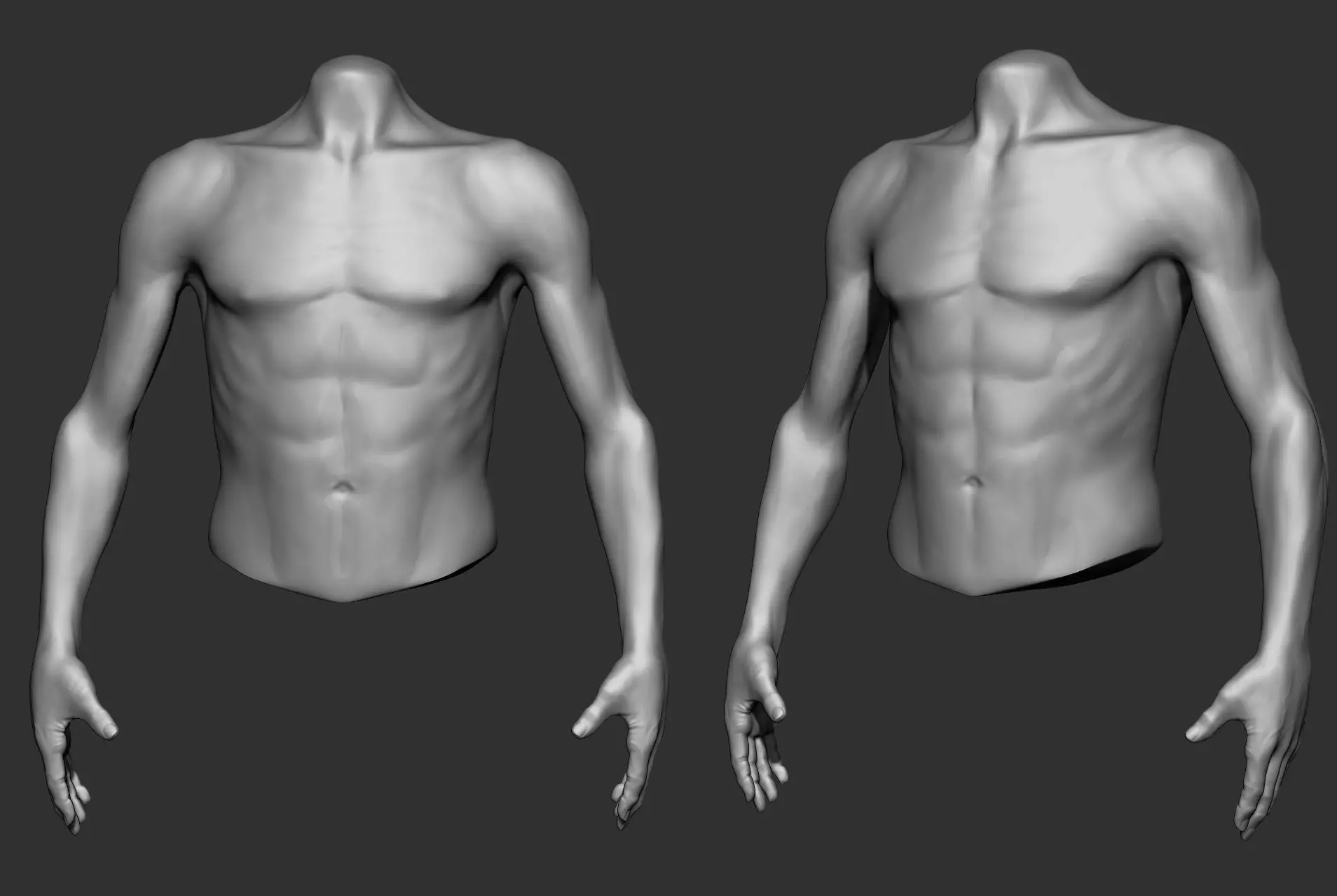 Male Torso Anatomy Study 3D model_26