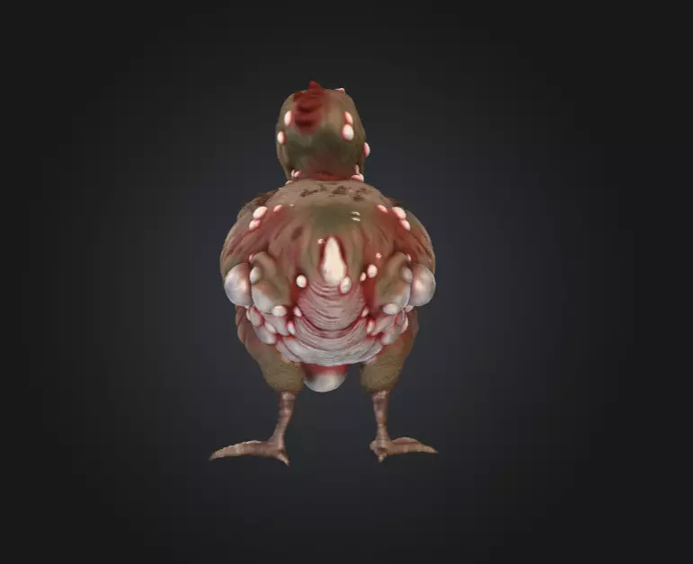 Twisted Bird Low-poly 3D model_5