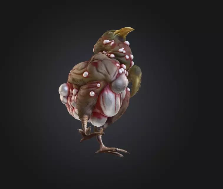 Twisted Bird Low-poly 3D model_12