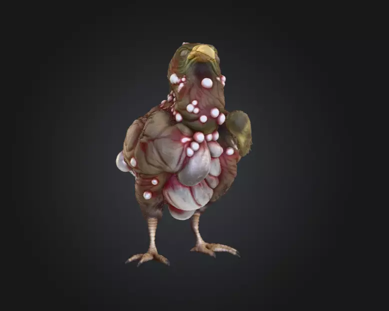 Twisted Bird Low-poly 3D model_2