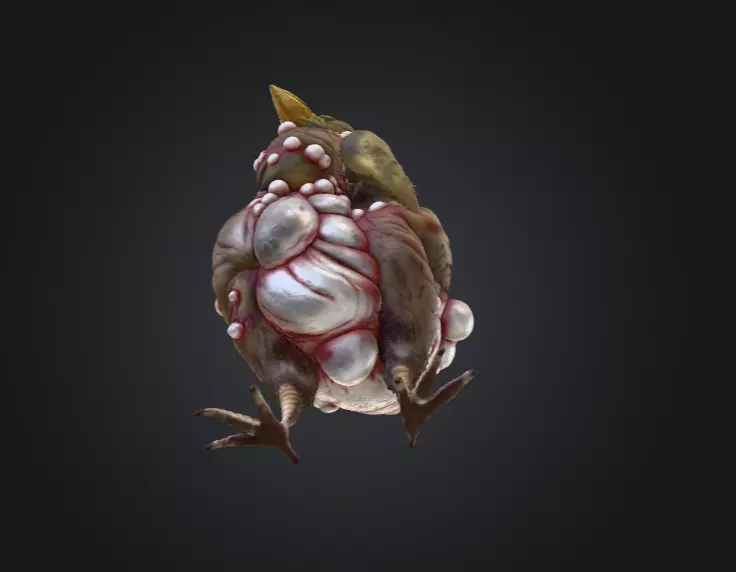 Twisted Bird Low-poly 3D model_11