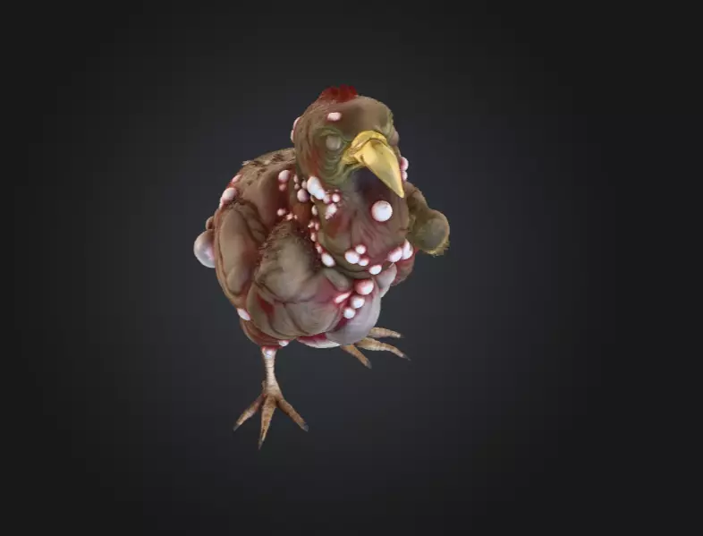 Twisted Bird Low-poly 3D model_9
