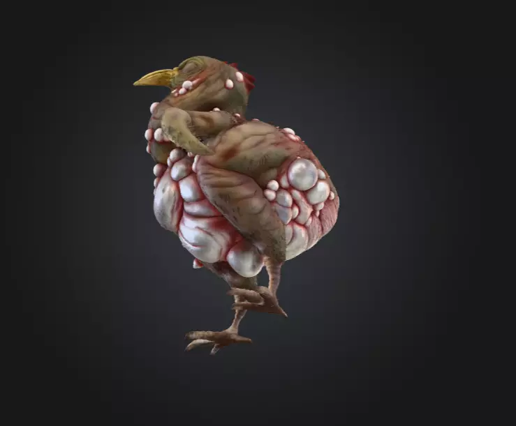 Twisted Bird Low-poly 3D model_13