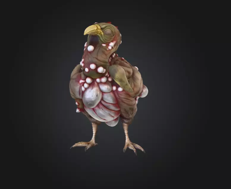 Twisted Bird Low-poly 3D model_1
