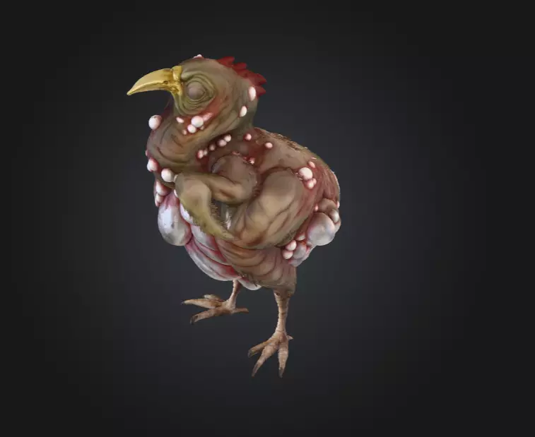 Twisted Bird Low-poly 3D model_10