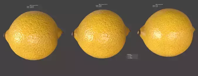 Lemon 3D model 6