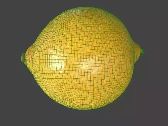 Lemon 3D model 7