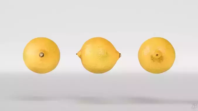 Lemon 3D model 5