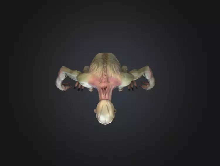 Ravenous Stalker Low-poly 3D model_15