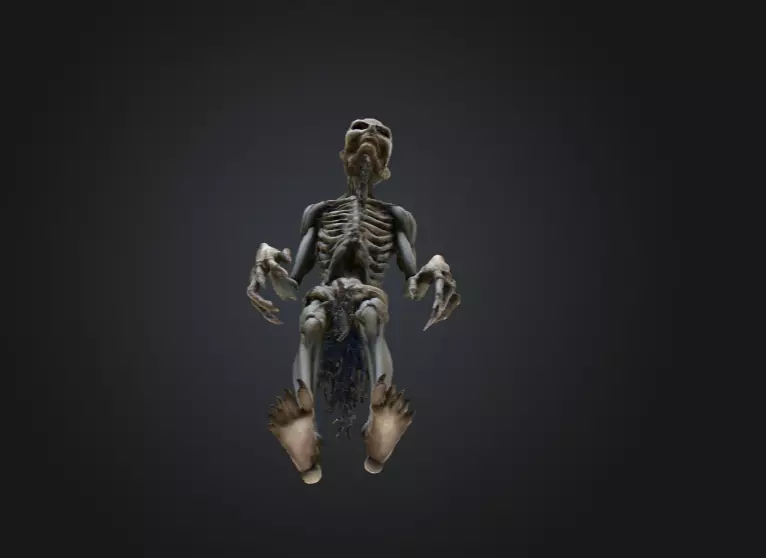 Hollow Wraith Carrier Low-poly 3D model_11