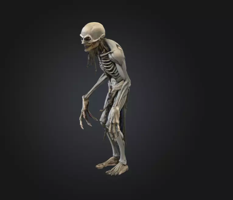 Hollow Wraith Carrier Low-poly 3D model_7