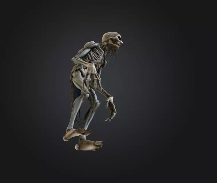 Hollow Wraith Carrier Low-poly 3D model_12