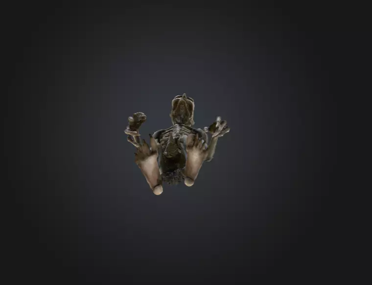 Hollow Wraith Carrier Low-poly 3D model_15