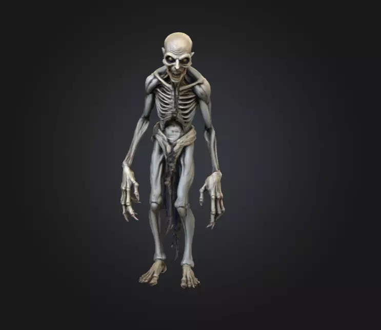 Hollow Wraith Carrier Low-poly 3D model_0