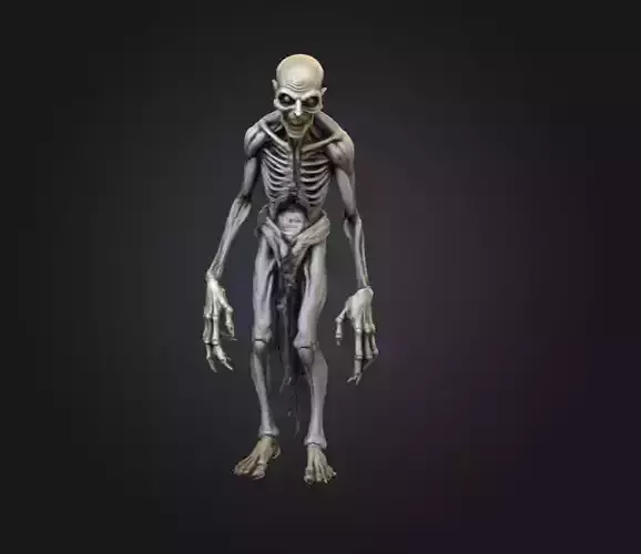 Hollow Wraith Carrier