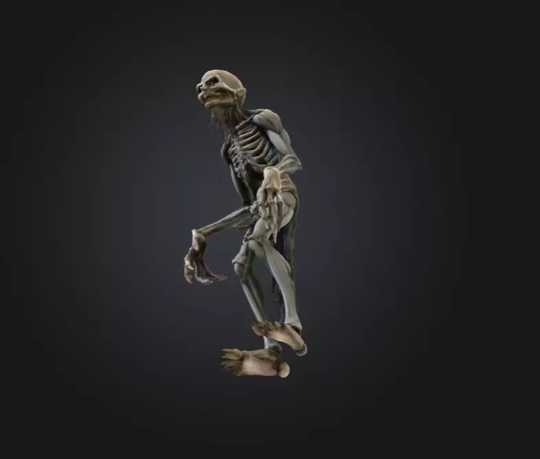 Hollow Wraith Carrier Low-poly 3D model_13