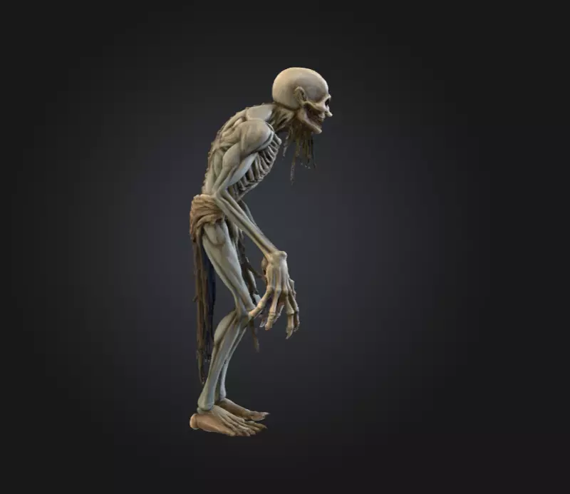 Hollow Wraith Carrier Low-poly 3D model_2