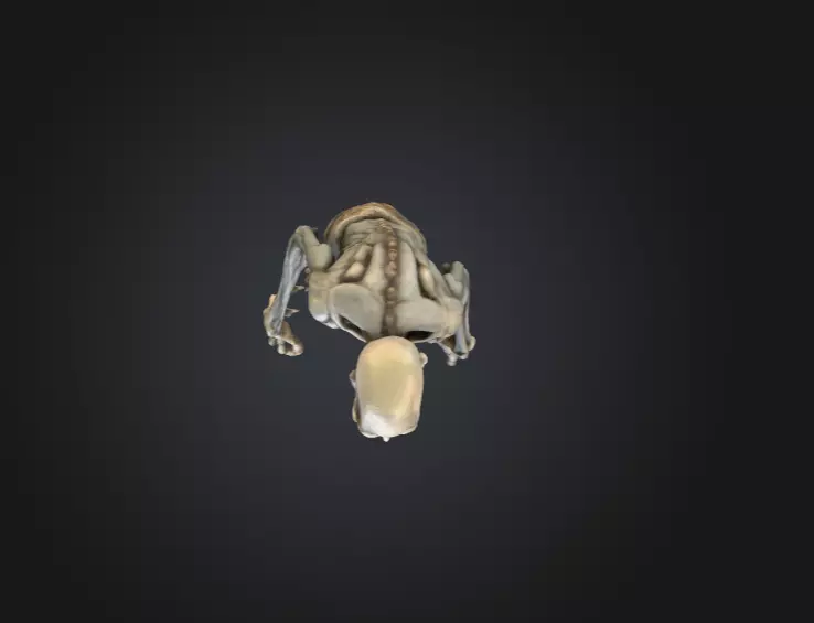 Hollow Wraith Carrier Low-poly 3D model_14