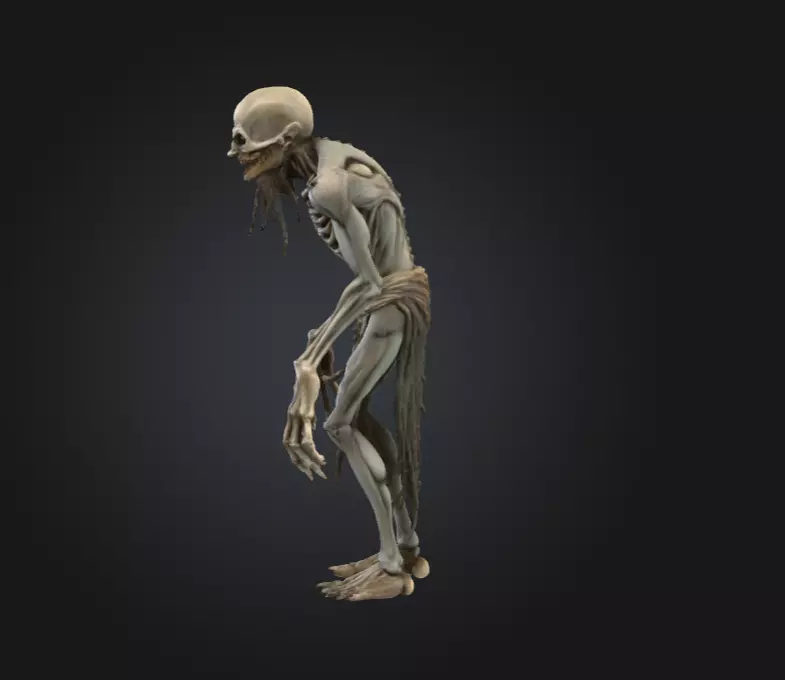 Hollow Wraith Carrier Low-poly 3D model_6