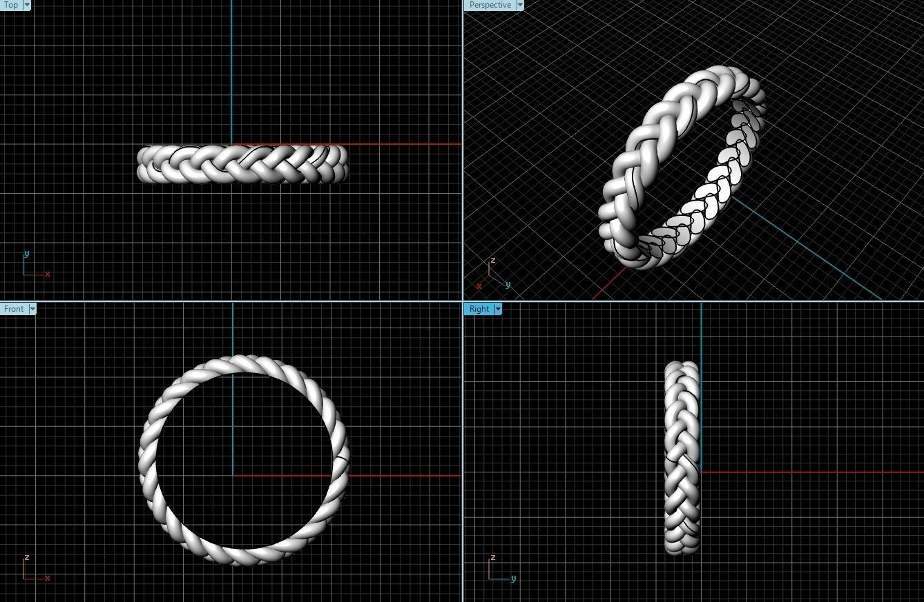 Ring 121 3D print model_2