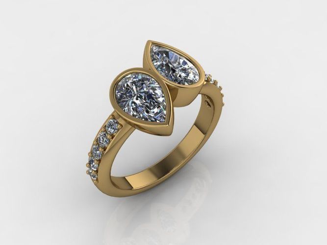 Ring AA 3D print model