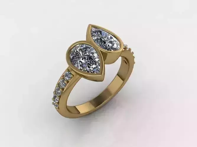 Ring AA 3D print model