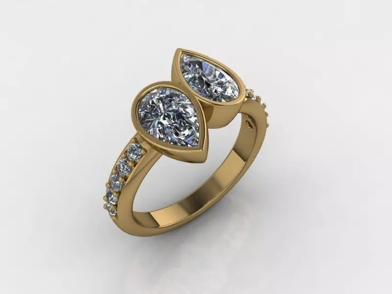 Ring AA 3D print model_0