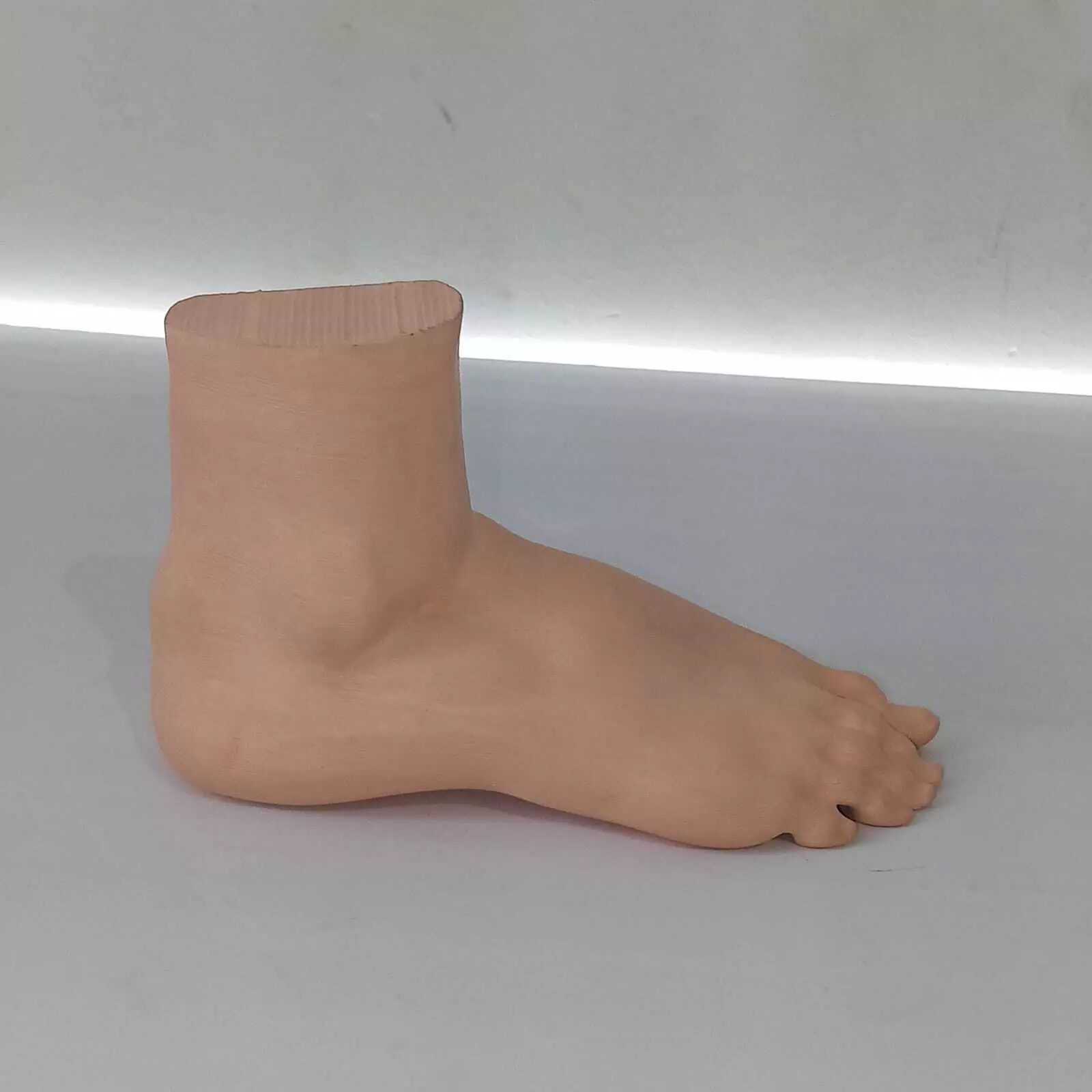 Human Foot Anatomy Skeleton and Muscles 3D print model_3