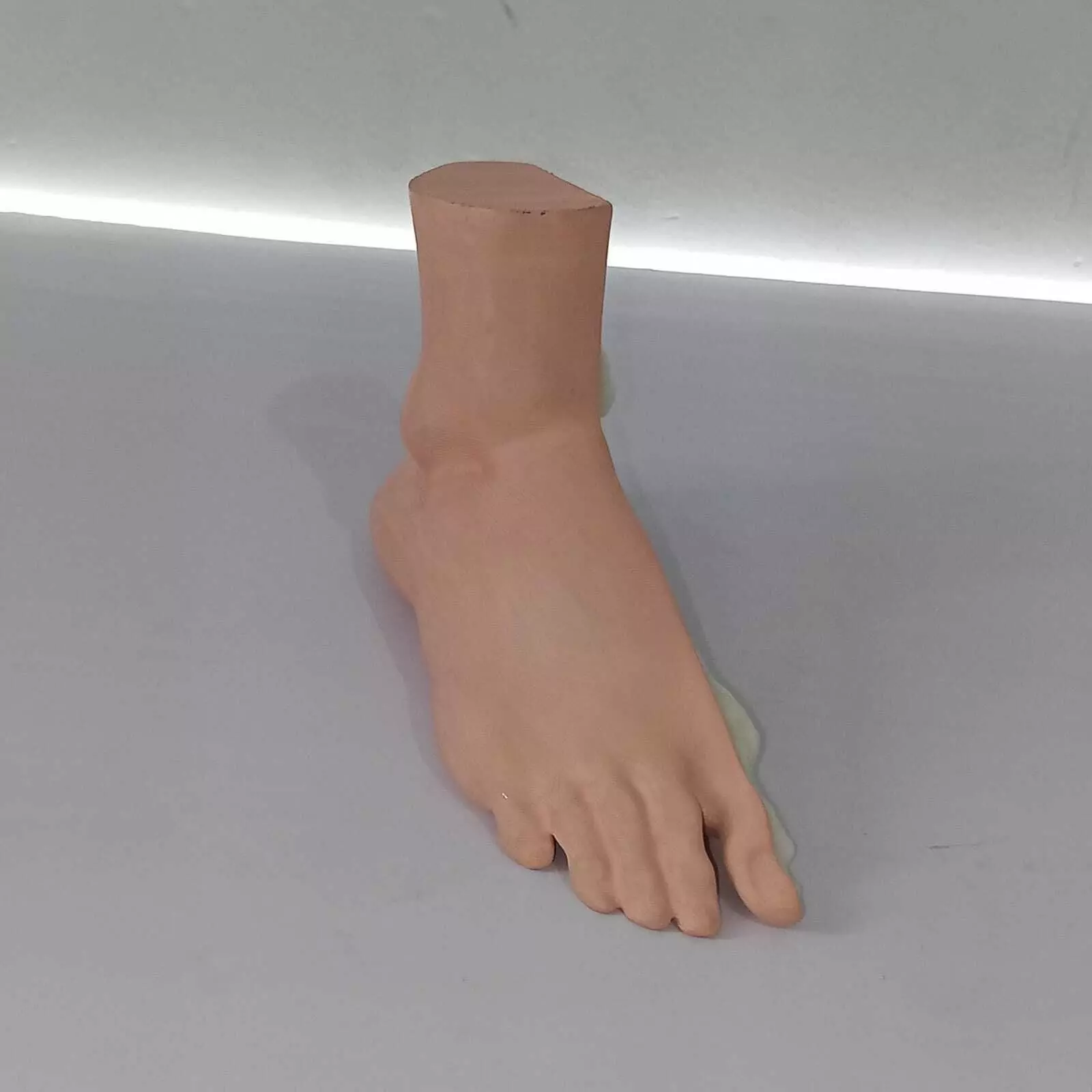 Human Foot Anatomy Skeleton and Muscles 3D print model_4