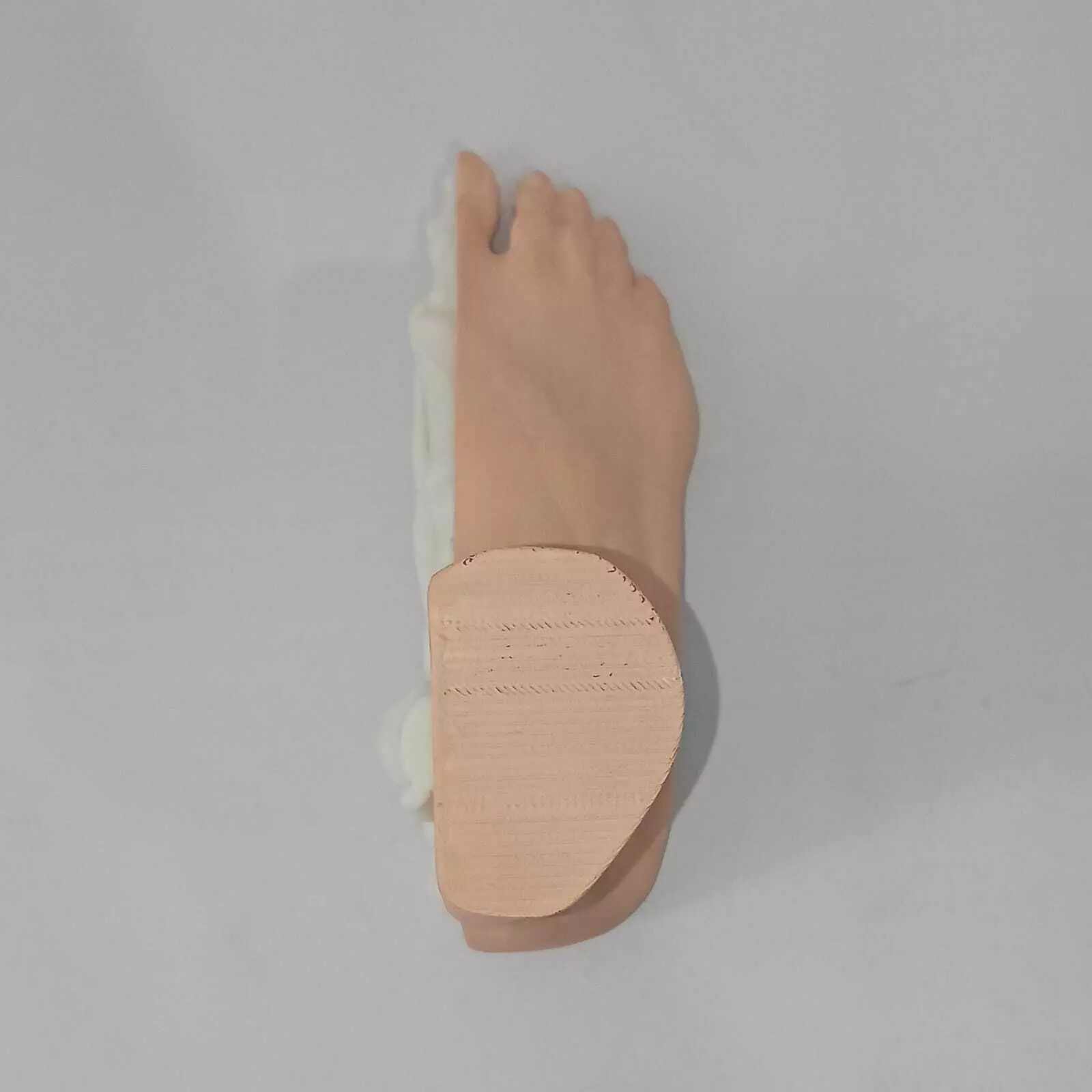 Human Foot Anatomy Skeleton and Muscles 3D print model_5