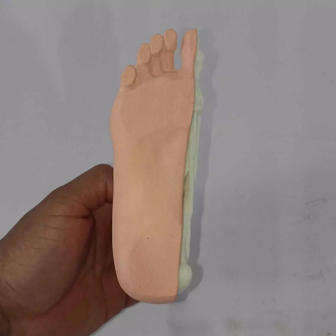 Human Foot Anatomy Skeleton and Muscles 3D print model_2