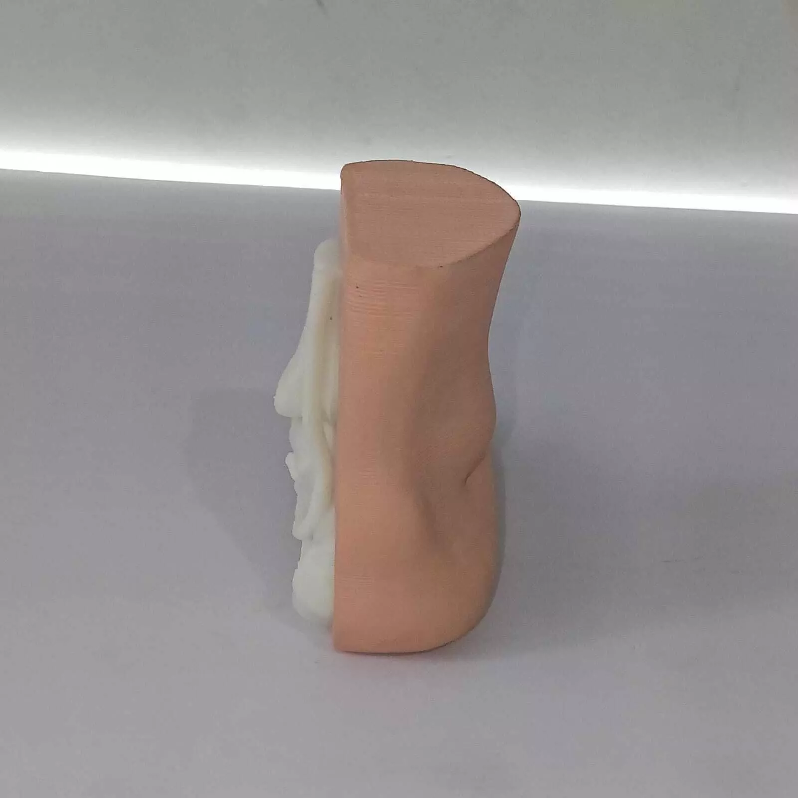 Human Foot Anatomy Skeleton and Muscles 3D print model_6