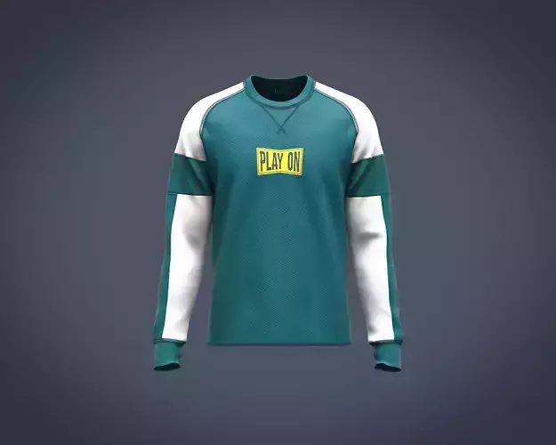 Mens raglan cut and sew sweatshirt with color block and print