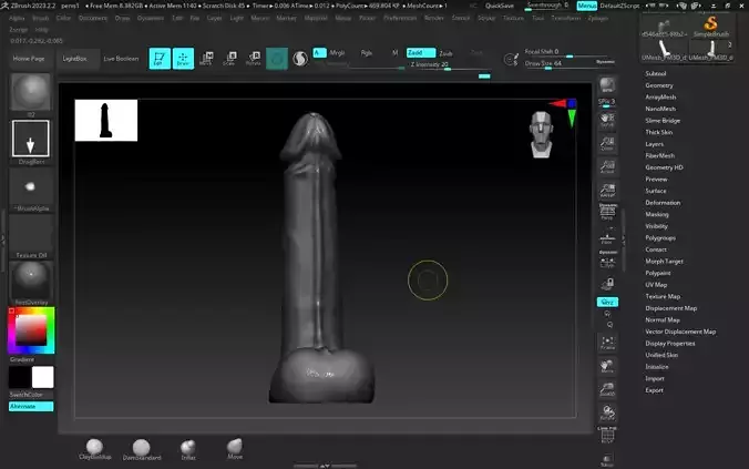 Realistic STL model of male genital anatomy for 3D printing