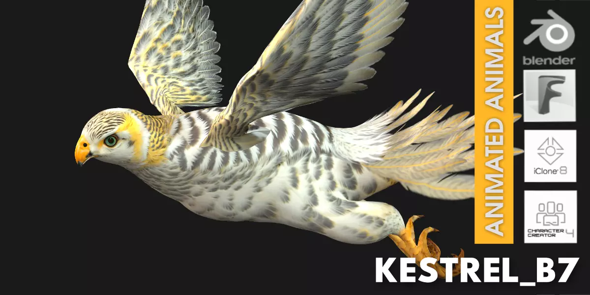 Kestrel B7 Free low-poly 3D model_0