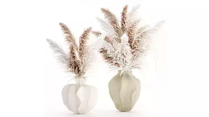 Bouquet dried flowers cortaderia pampas grass vase decor