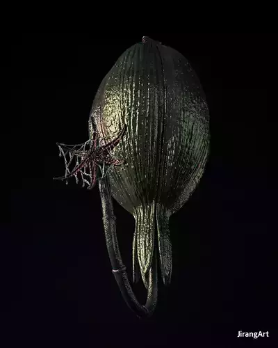 Alien Earth Orchid Species