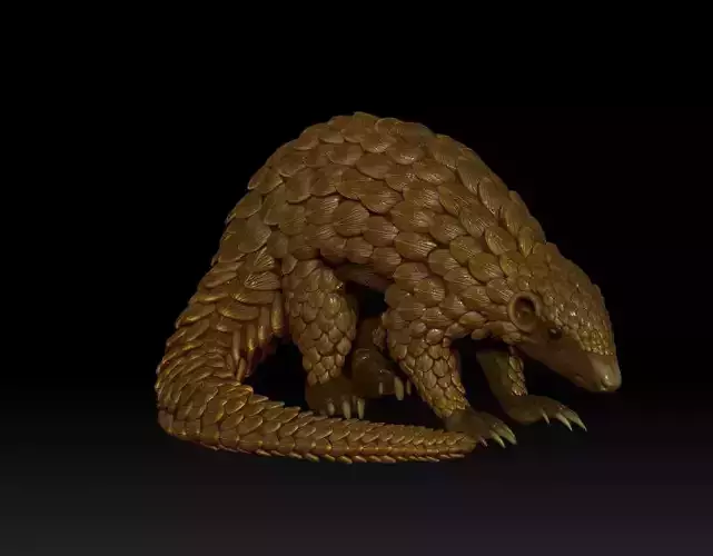 Pangolin