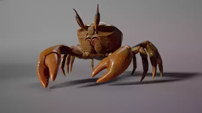 Crab walking Animation PBR  GameReady