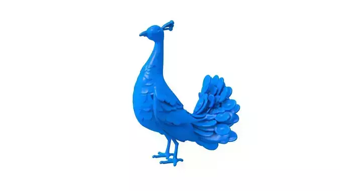 peacock -peacock stl - bird - bird stl - animals - swan