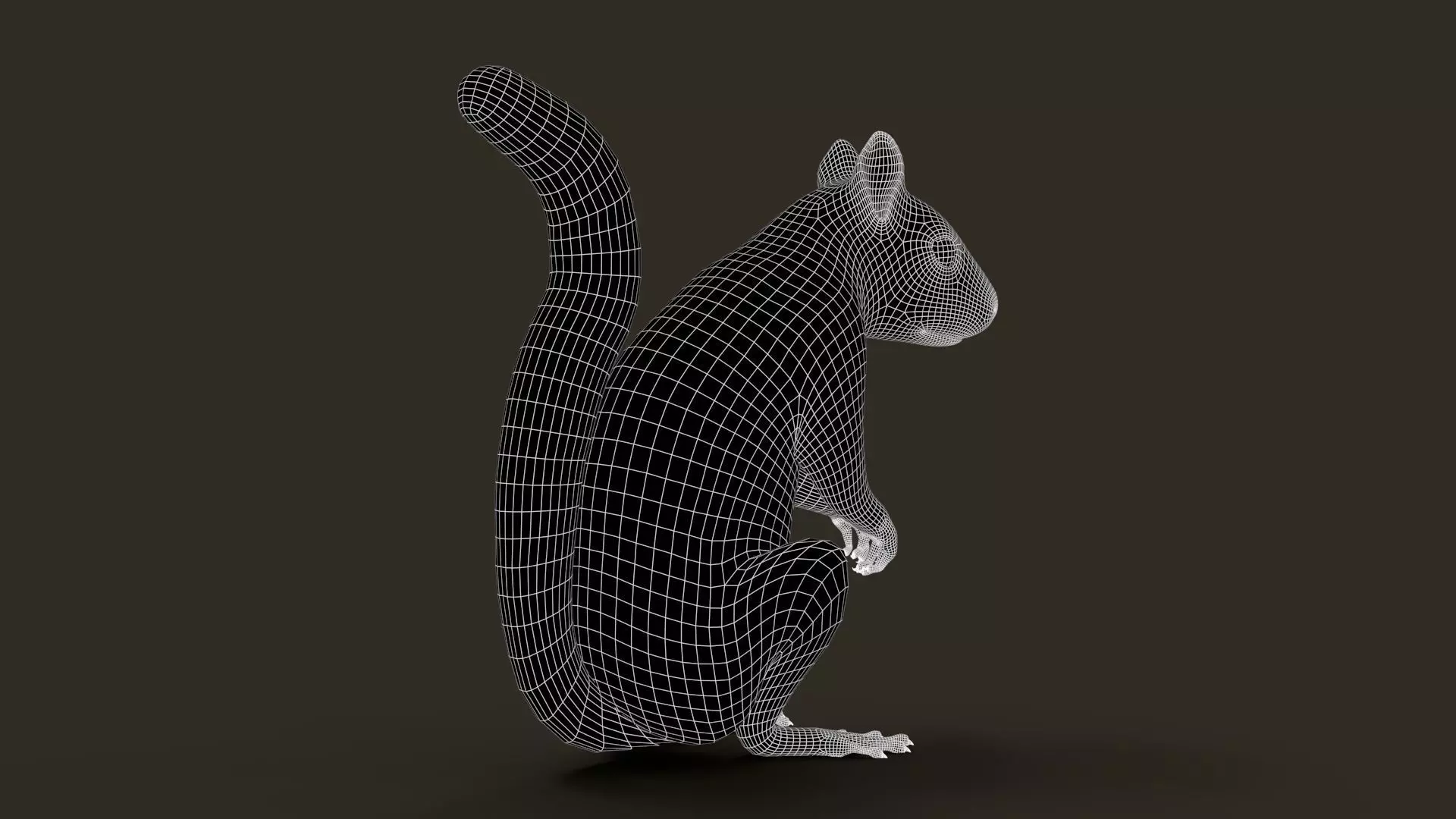 Brown Squirrel Fur Rigged 3D model_14