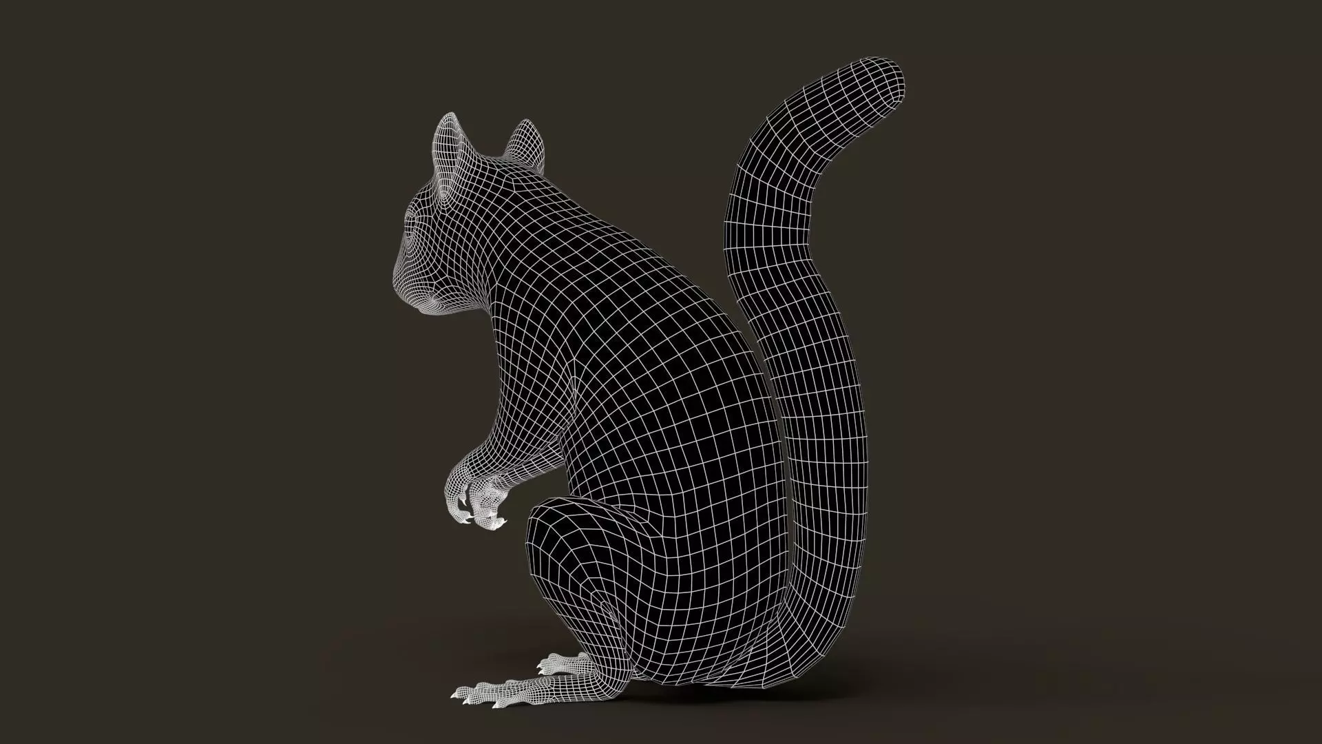 Brown Squirrel Fur Rigged 3D model_15