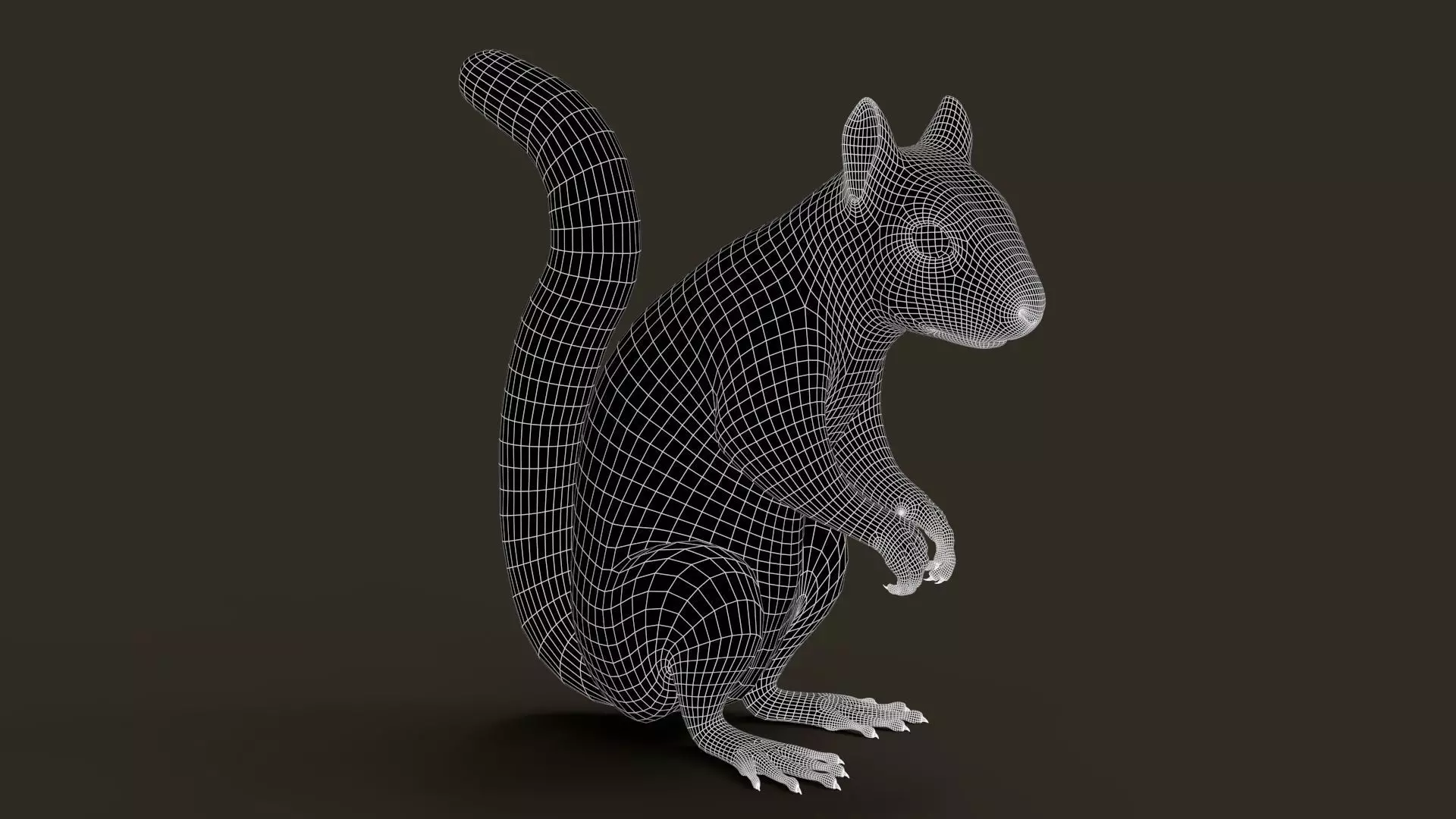 Brown Squirrel Fur Rigged 3D model_13