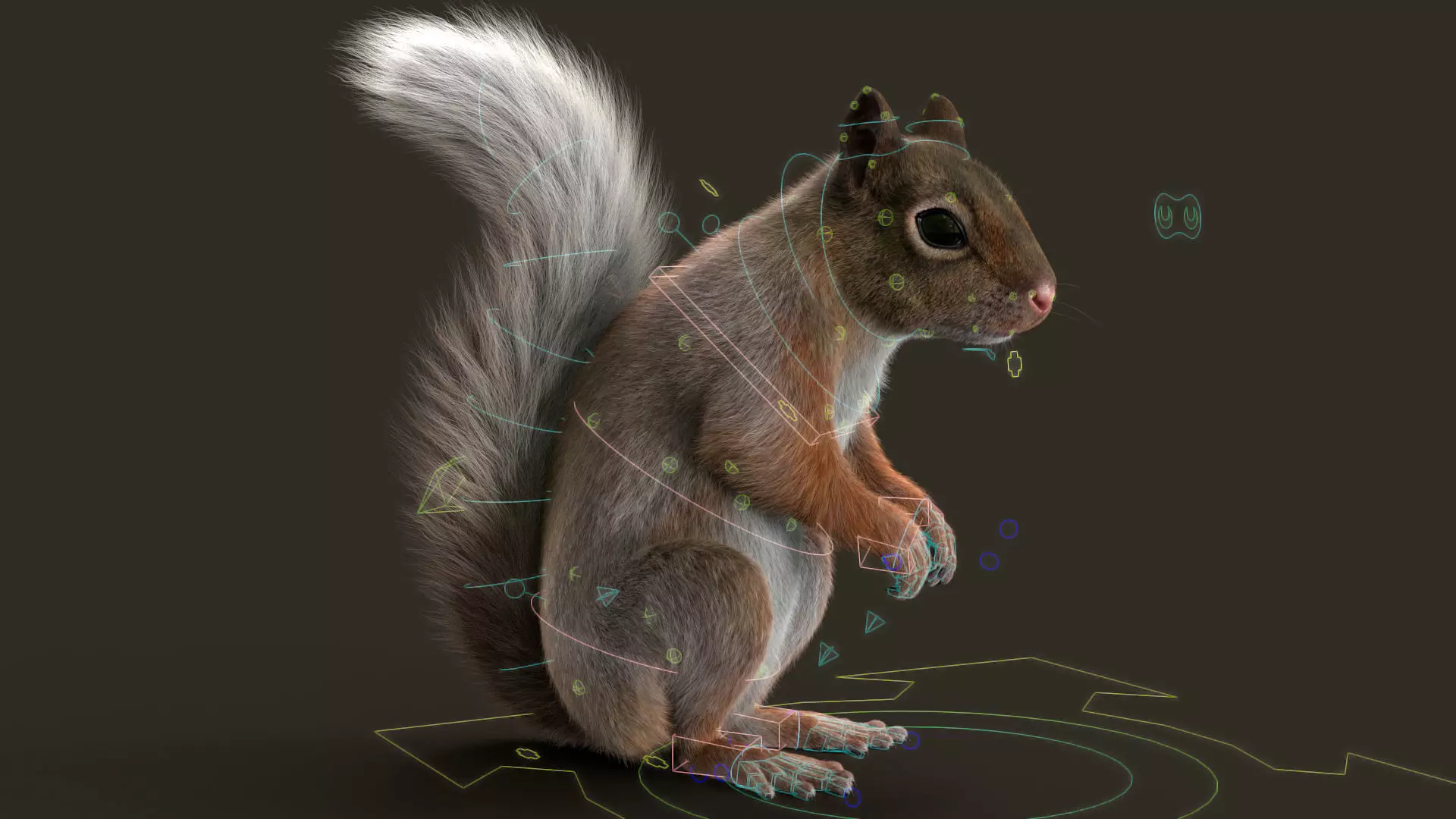 Brown Squirrel Fur Rigged 3D model_2