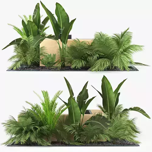 flowerbed palm 3D model