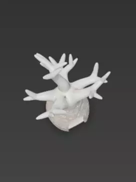 3D Baobab Tree With Hollow Model 3D print model_3