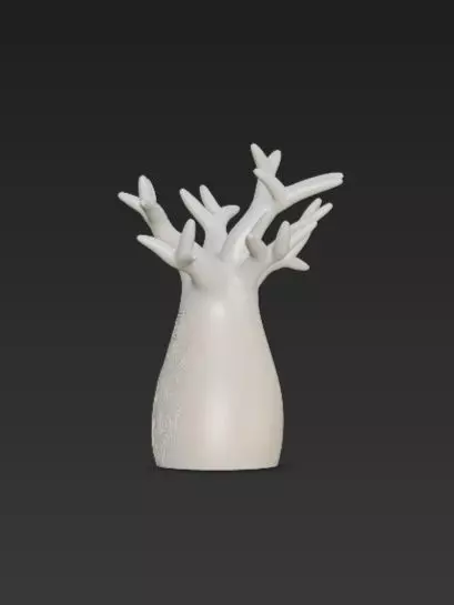 3D Baobab Tree With Hollow Model 3D print model_8