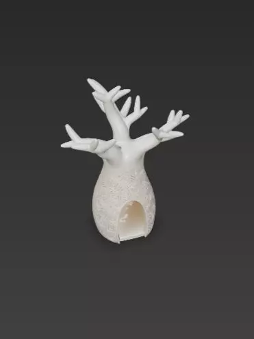 3D Baobab Tree With Hollow Model 3D print model_4
