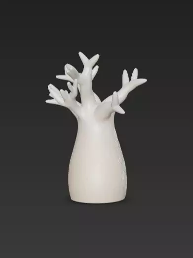 3D Baobab Tree With Hollow Model 3D print model_10